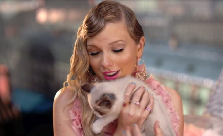 Címlapra került Taylor Swift macskája, nem is akárhogy – fotó